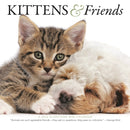 Kittens Friends Square Mini Sunday Start-9781529847482