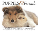 Puppies Friends Box Calendar 2026-9781529847536