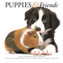 Puppies Friends Square Mini Sunday Start-9781529847543