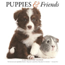 Puppies Friends Square Wall Sunday Start-9781529847550