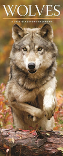 Wolves Deluxe Slim Sunday Start Calendar-9781529847628