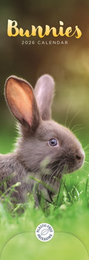 Bunnies Slim Calendar 2026-9781529847635