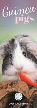 Guinea Pigs Slim Calendar 2026-9781529847673