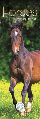 Horses Slim Calendar 2026-9781529847697