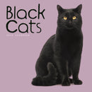 Black Cats Square Wall Calendar 2026-9781529847789