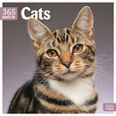 Cats 365 Days Square Wall Calendar 2026-9781529847796