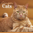 Ginger Cats Square Wall Calendar 2026-9781529847864