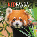 Red Pandas Square Wall Calendar 2026-9781529847918