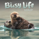 Busy Life Planner Wall Calendar 2026-9781529848205