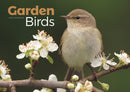 Garden Birds A4 Calendar 2026-9781529848342