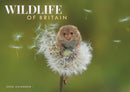 Wildlife Of Britain A4 Calendar 2026-9781529848359