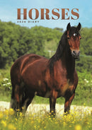 Horses A5 Diary 2026-9781529848724