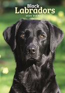 Labrador Retrievers Black A5 Diary 2026-9781529848748
