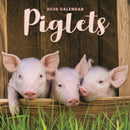 Piglets Square Mini Calendar 2026-9781529848861
