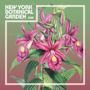 New York Botanical Gardens Square Mini S-9781529848908