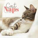 Cat Naps Square Mini Calendar 2026-9781529848922