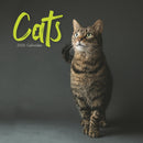 Cats Wiro Wall Calendar 2026-9781529849097