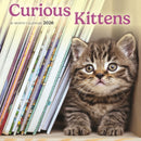 Curious Kittens Square Mini Sunday Start-9781529849400