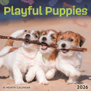 Playful Puppies Square Mini Sunday Start-9781529849608
