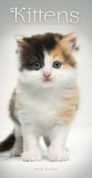 Kittens Slim Diary 2026-9781529849646