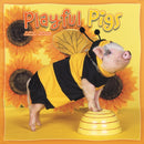 Pigs Playful Square Wall Sunday Start Ca-9781529849684