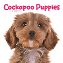 Cockapoo Puppies Square Mini Calendar 20-9781529849936