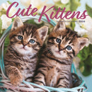 Kittens Square Wall Sunday Start Calenda-9781529850147