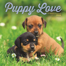 Puppy Love Square Wall Sunday Start Cale-9781529850185