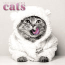 Cats Square Wall Sunday Start Calendar 2-9781529850192