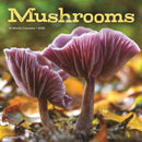 Mushrooms Square Wall Sunday Start Calen-9781529850239