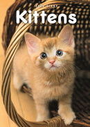 Kittens A5 Diary 2026-9781529850468
