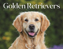 Goldens Retrievers Box Calendar 2026-9781529850888