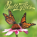 Butterflies Square Wall Sunday Start Cal-9781529851038