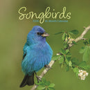Songbirds Square Mini Sunday Start Calen-9781529851489