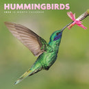 Hummingbirds Square Mini Sunday Start Ca-9781529851496