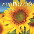 Sunflowers Square Mini Sunday Start Cale-9781529851502
