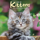 Love Of Kittens Square Mini Sunday Start-9781529851526