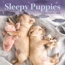 Sleepy Puppies Square Mini Sunday Start-9781529851557