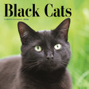 Black Cats Square Wall Sunday Start Cale-9781529851724