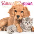 Kittens & Puppies Square Wall Sunday Sta-9781529851731
