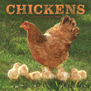 Chickens Square Wall Sunday Start Calend-9781529851823
