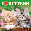 I Love Kittens Square Wall Sunday Start-9781529851854