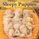 Sleepy Puppies Square Wall Sunday Start-9781529851885