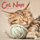 Cat Naps Square Wall Sunday Start Calend-9781529851908