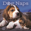 Dog Naps Square Wall Sunday Start Calend-9781529851991