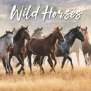 Wild Horses Square Wall Sunday Start Cal-9781529852066