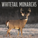 Whitetail Monarchs Square Wall Sunday St-9781529852073