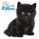 Black Kittens Square Wall Sunday Start C-9781529852097