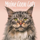 Maine Coon Cats Square Wall Sunday Start-9781529852301