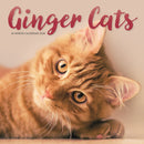 Ginger Cats Square Wall Sunday Start Cal-9781529852486